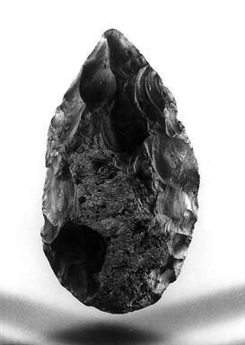 Bifacciale